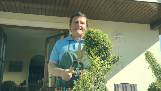 Video Reference: green, plant, tree, grass, houseplant, roof, Person