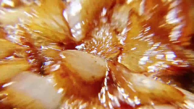 Video Reference: Close-up, Macro photography, Food, Cuisine