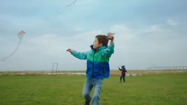Video Reference: Grassland, Kite, Wind, Sport kite, Kite sports, Meadow, Fun, Grass, Parachute, Windsports, Person