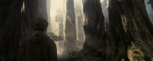 Video Reference: forest, waterfall, tree, darkness, water feature, sunlight, formation, old growth forest, screenshot, computer wallpaper