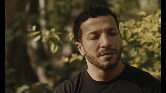 Video Reference: beard, handsome, man, male, guy, portrait, person, face, adult, attractive, casual