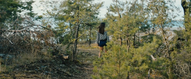 Video Reference: tree, ecosystem, nature reserve, plant, shrubland, biome, forest, grass, woodland, plant community, Person