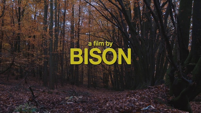 Video Reference: Nature, Natural landscape, Tree, Natural environment, Forest, Woodland, Nature reserve, Text, Biome, Font