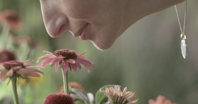 Video Reference: Flower, Plant, Petal, Botany, Purple coneflower, Close-up, Spring, Flowering plant, Organism, Pollen