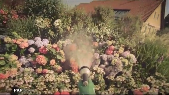 Video Reference: plant, flower, flora, floristry, flower arranging, flowering plant, floral design, grass, shrub, spring