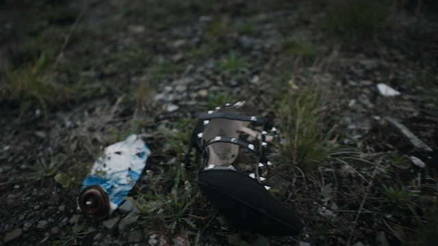 Video Reference: Footwear, Grass, Tree, Shoe, Plant, Photography, Soil, Person