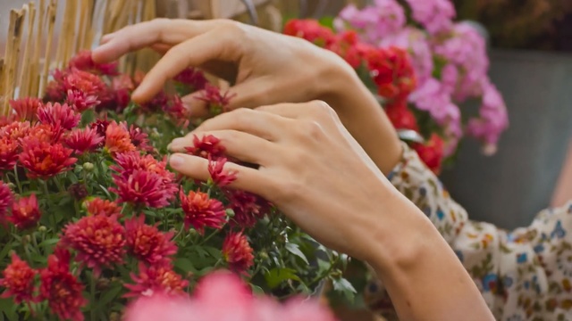 Video Reference: Flower, Plant, Bouquet, Nail, Floral design, Pink, Hand, Floristry, Cut flowers, Botany
