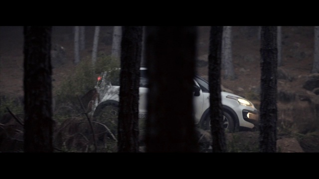 Video Reference: Natural environment, Darkness, Forest, Woodland, Tree, Atmosphere, Vehicle, Car, World rally championship, Screenshot