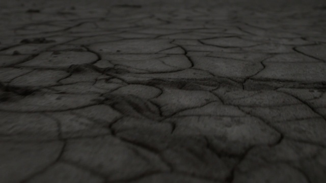 Video Reference: Black, Black-and-white, Water, Monochrome photography, Road surface, Monochrome, Soil, Photography, Stock photography, Wood