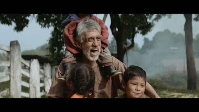 Video Reference: screenshot, film, tree, Person