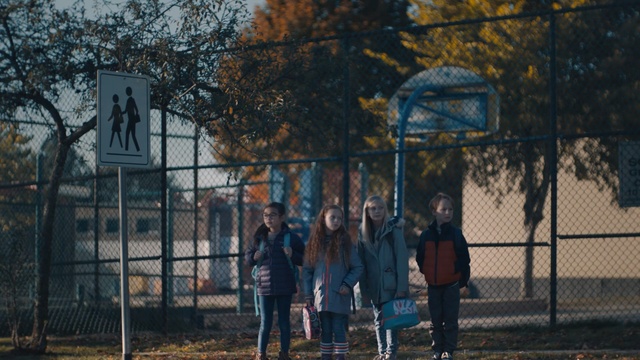 Video Reference: Tree, Fence, Person