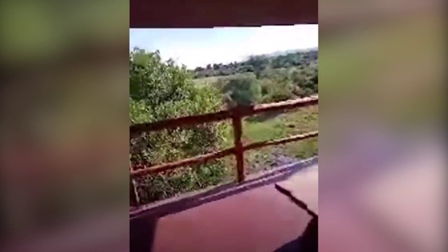 Video Reference: Nature, Property, Fence, House, Land lot, Wall, Rural area, Tree, Real estate, Leaf