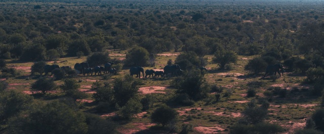 Video Reference: Natural landscape, Vegetation, Natural environment, Nature reserve, Biome, Plant community, Shrubland, Hill station, Ecoregion, Rural area