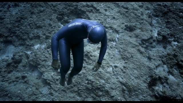 Video Reference: water, darkness, tree, organism, soil, rock, computer wallpaper, adventure, screenshot, formation