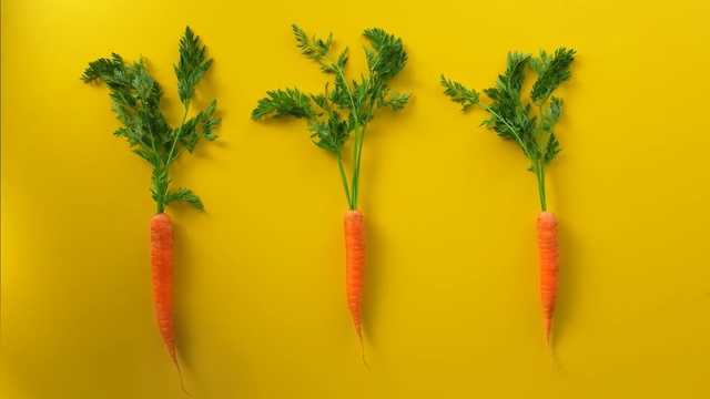 Video Reference: Yellow, Plant, Flower, Carrot, Botany, wild carrot, Flowering plant, Goldenrod, Plant stem, Dill