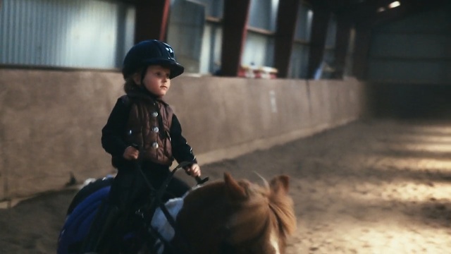 Video Reference: horse, mammal, vertebrate, horse like mammal, child, pack animal, livestock