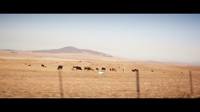 Video Reference: Desert, Sand, Natural environment, Sahara, Ecoregion, Landscape, Aeolian landform, Sky, Horizon, Erg