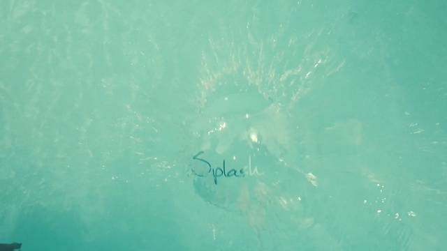 Video Reference: stingray, ray, great white shark, water, shark, sea, ocean, fish, liquid