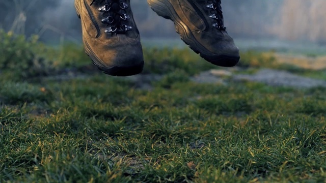 Video Reference: grass, footwear, plant, shoe, tree, outdoor shoe, meadow, grassland, soil, landscape