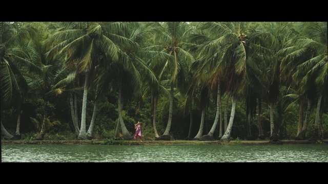Video Reference: water, vegetation, nature, green, tree, ecosystem, arecales, jungle, palm tree, plant