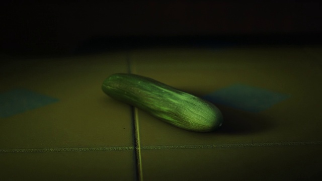Video Reference: Cucumis, Cucumber, Vegetable, Cucumber, gourd, and melon family, Plant, Zucchini, Still life photography, Winter squash, Squash