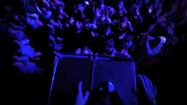 Video Reference: blue, black, purple, cobalt blue, violet, darkness, light, electric blue, organism, computer wallpaper