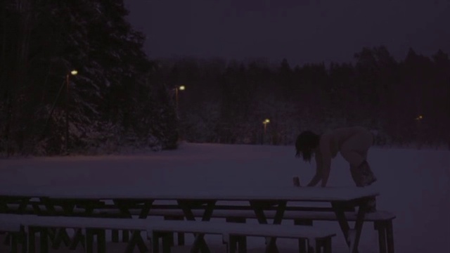 Video Reference: Snow, Winter, Black, Sky, Freezing, Light, Night, Atmospheric phenomenon, Darkness, Atmosphere