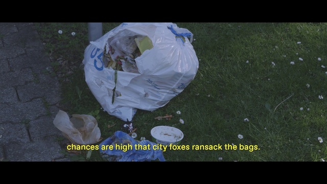 Video Reference: Water, Organism, Photography, Photo caption, Space, World