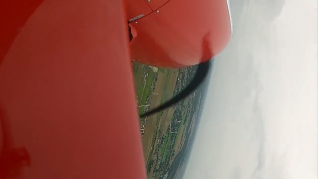 Video Reference: Red, Close-up, Material property, Macro photography