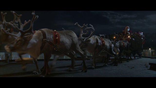 Video Reference: Horse, Horse harness, Pack animal, Mode of transport, Darkness, Organism, Vehicle, Art, Photography, Horse tack