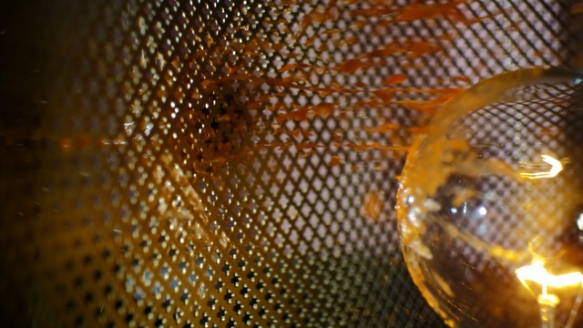 Video Reference: macro photography, honeycomb, organism, night, pattern