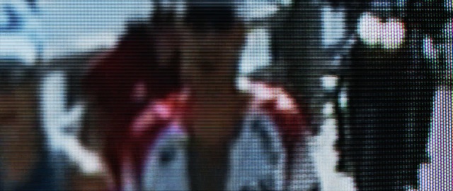 Video Reference: Light, Line, Organism, Tree, Textile, Pattern