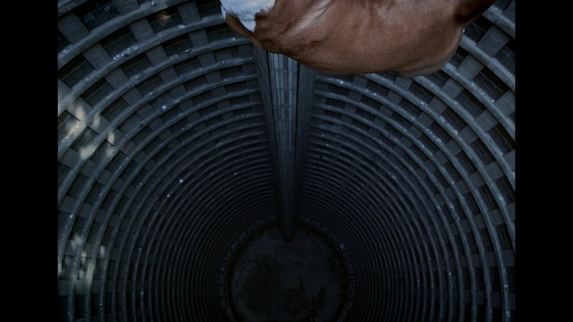 Video Reference: Circle