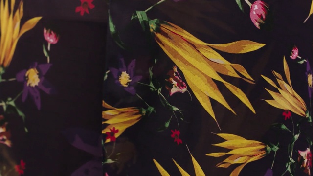 Video Reference: flower, yellow, plant, flora, flowering plant, art, petal, floristry, modern art, spring