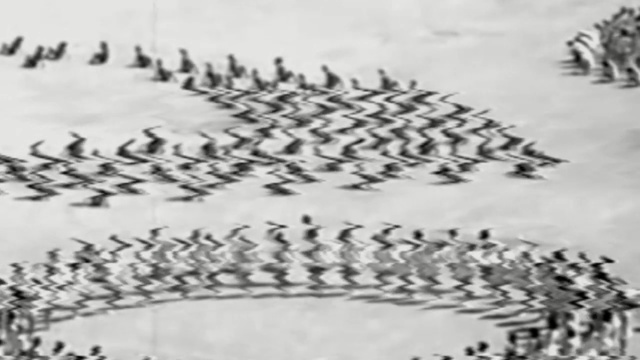 Video Reference: Bird migration, Animal migration, Flock, Bird, Black-and-white