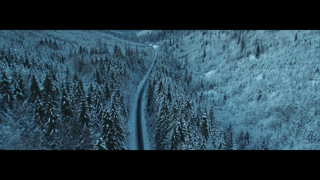 Video Reference: Blue, Nature, Black, Tree, Natural landscape, Natural environment, Winter, Forest, Sky, Water