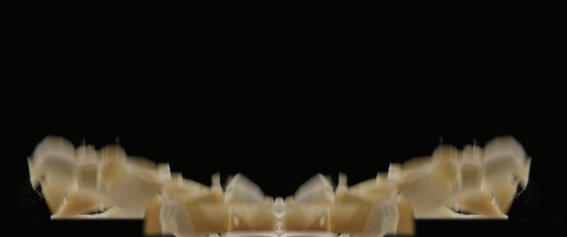 Video Reference: Jaw, Tooth, Fashion accessory, Photography, Still life photography, Indoor, Cup, Table, Animal, Cake, Food, Sitting, Front, Glasses, Plate, Filled, Glass, White, Display, Invertebrate, Amphipod