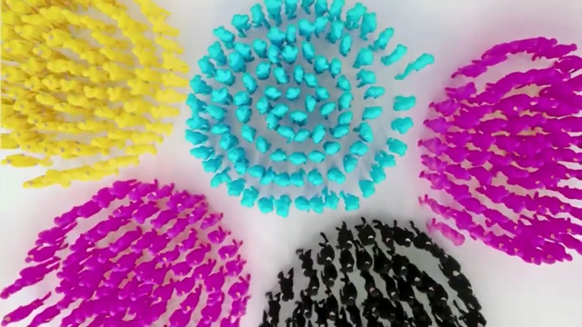 Video Reference: organism, petal, pollen