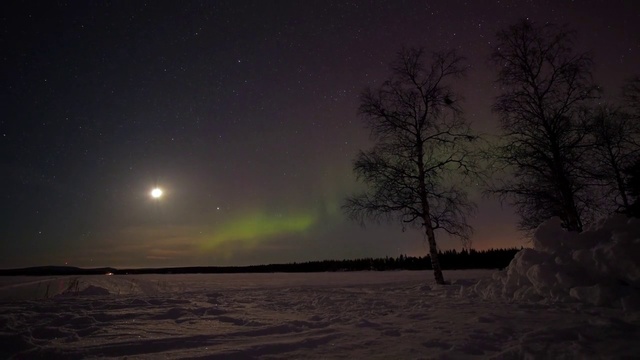 Video Reference: Sky, Aurora, Nature, Atmospheric phenomenon, Freezing, Winter, Atmosphere, Night, Tree, Landscape