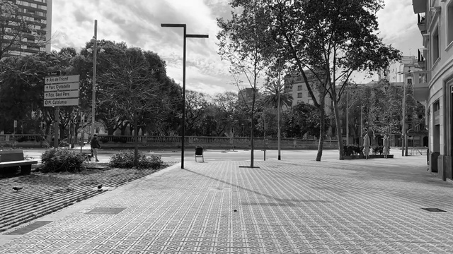 Video Reference: White, Black-and-white, Black, Photograph, Monochrome, Monochrome photography, Tree, Architecture, Daytime, Sky