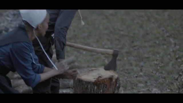 Video Reference: mammal, tree, Person