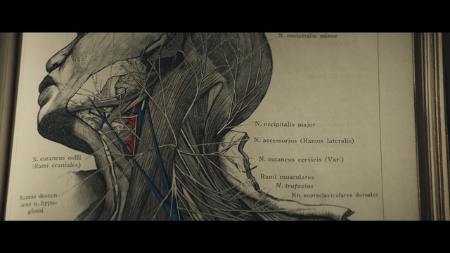 Video Reference: Text, Line, Illustration, Drawing, Human, Art, Neck, Font, Visual arts, Black-and-white