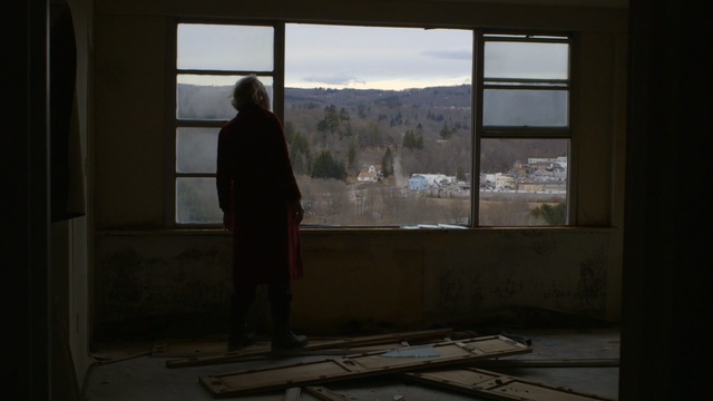 Video Reference: Window, Standing, Room, Daylighting, Tree, House, Winter, Architecture, Photography, Glass, Person