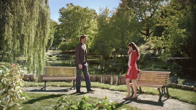 Video Reference: photograph, nature, garden, tree, plant, backyard, path, botanical garden, grass, leisure