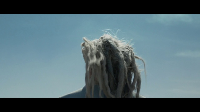 Video Reference: Hair, Sky, Photography, Tree, Landscape, Wildlife, Fur