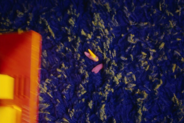 Video Reference: Cobalt blue, Blue, Majorelle blue, Electric blue, Yellow, Purple, Violet, Textile, Organism, Macro photography