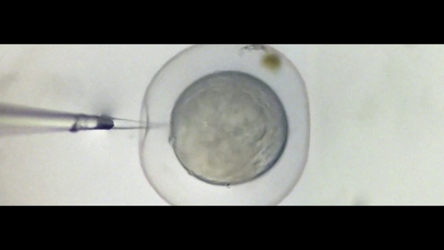 Video Reference: Circle, Plumbing fixture, Toilet, Ceramic, Metal, Tableware