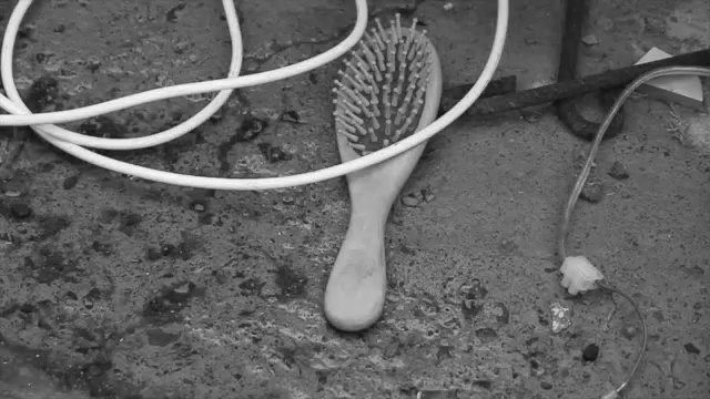Video Reference: Black-and-white, Leg, Organism, Plant, Monochrome, Adaptation, Cactus, Monochrome photography, Still life photography, Style