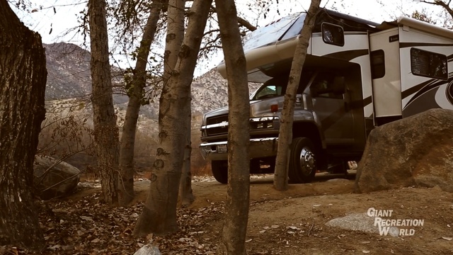 Video Reference: tree, wood, vehicle, house, plant, hut, trail, Person