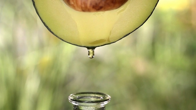 Video Reference: Water, Yellow, Drink, Photography, Glass, Plant, Drinkware, Macro photography